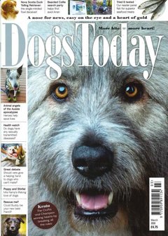 Dogs Today Magazine