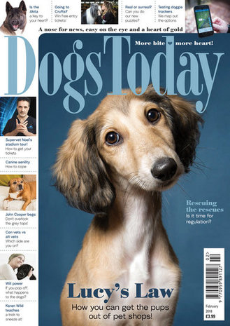 Dogs Today Magazine