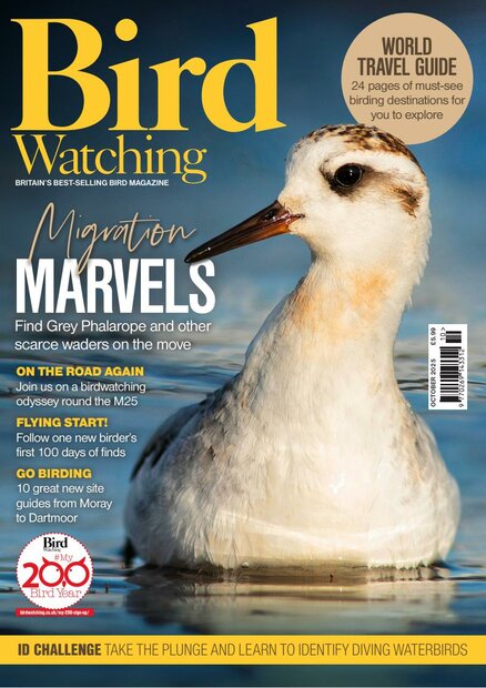 Bird Watching (UK) Magazine