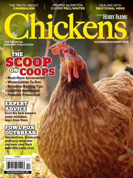 Chickens Magazine