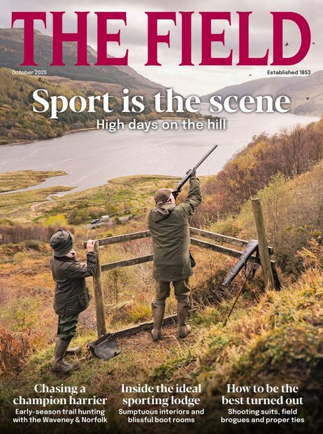 The Field Magazine
