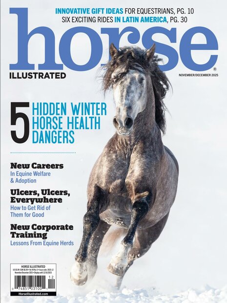 Horse illustrated Magazine