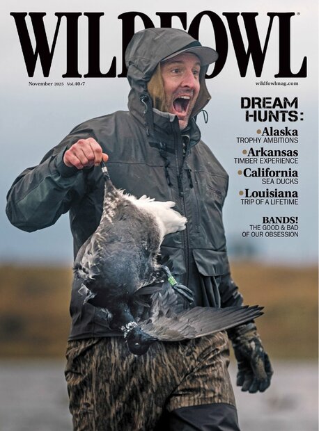 Wildfowl Magazine