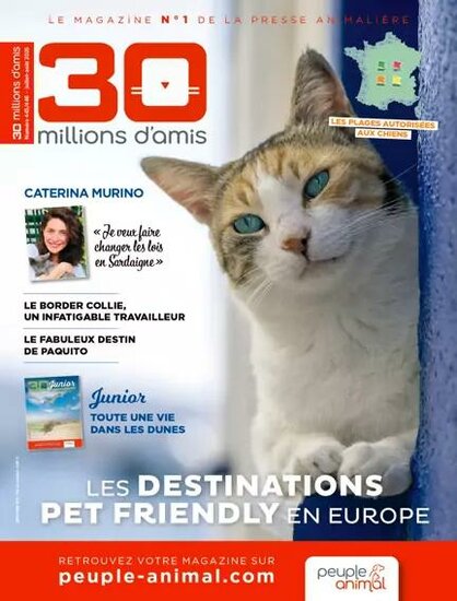 30 millions D&#039;amis