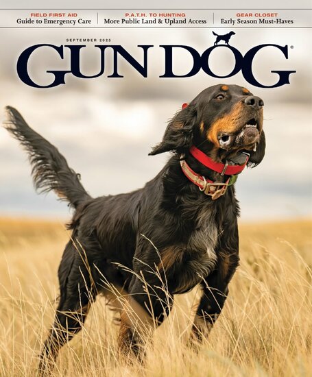 Gun Dog Magazine
