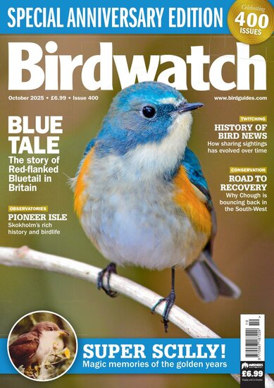 Birdwatch Magazine