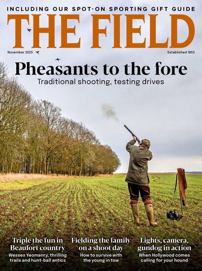 The Field Magazine