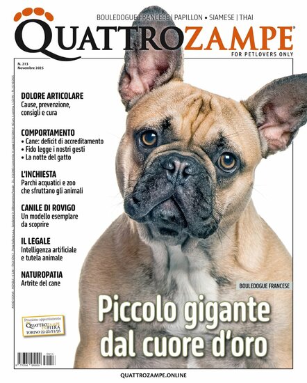 Quarter Horse Journal (German)