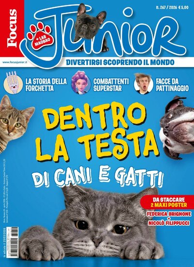 Focus Junior (Italiano)