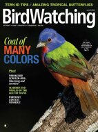 BirdWatching Magazine