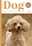 Edition Dog Magazine