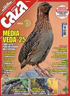 Federcaza