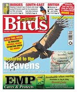 Cage &amp; Aviary Birds Magazine