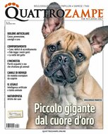 Quarter Horse Journal (German)