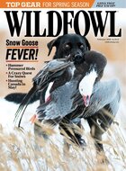 Wildfowl Magazine