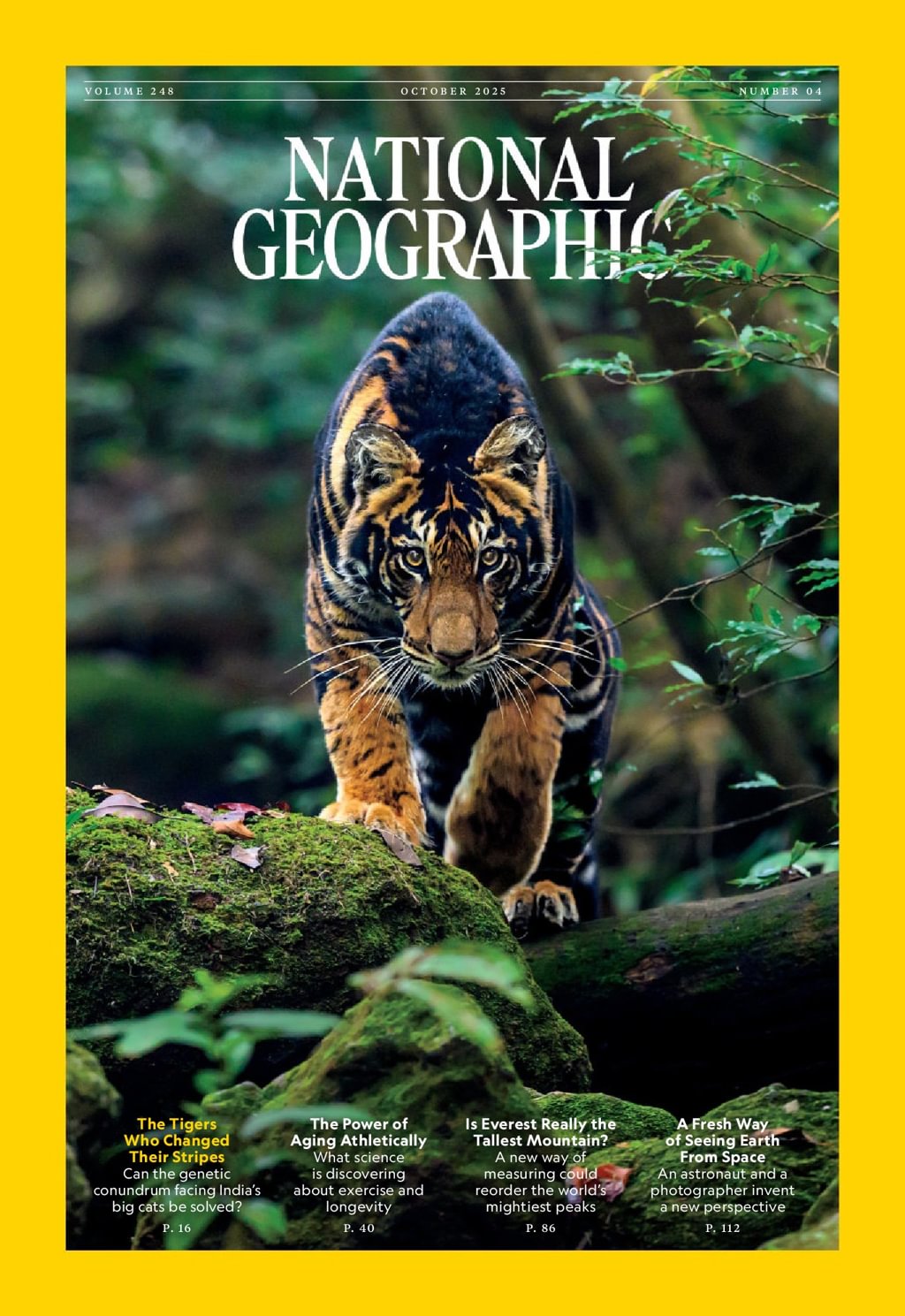 National Geographic Magazine英語版 National Geographic Magazine subscription
