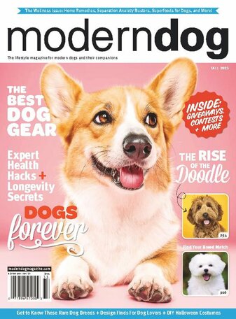 Modern Dog Magazine
