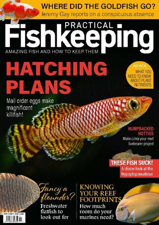 Practical Fishkeeping Magazine
