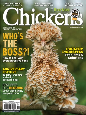Chickens Magazine