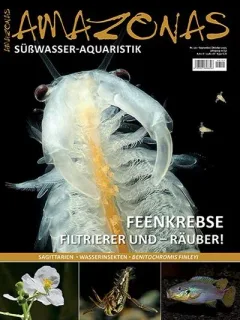 Amazonas (German)