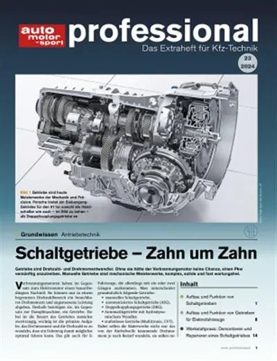 Auto Motor und Sport Professional (German)