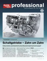 Auto Motor und Sport Professional (German) 1