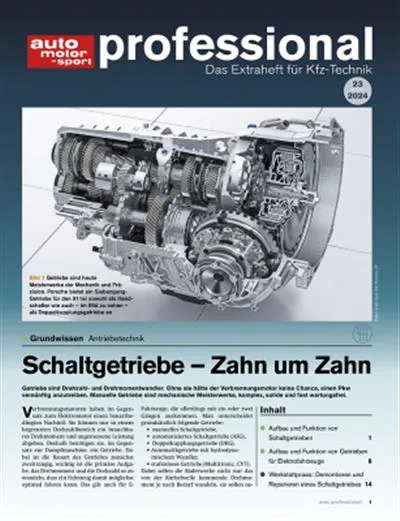 Auto Motor und Sport Professional (German)