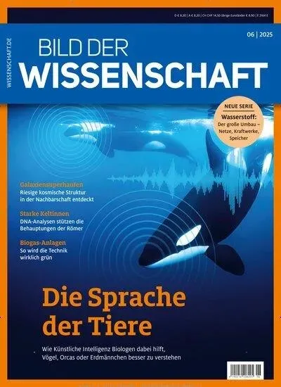 Bild der Wissenschaft (German)