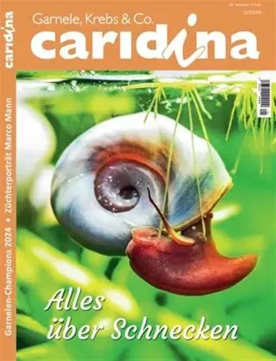 Caridina (German)