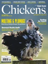 Chickens Magazine 1