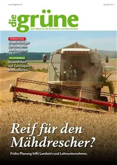 Die Grüne (German)