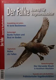 Falke (German)