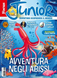 Focus Junior (Italian)