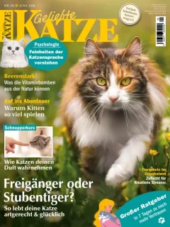Geliebte Katze (German)