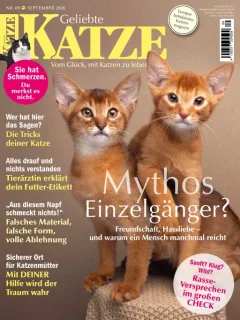 Geliebte Katze (German)