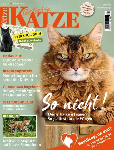 Geliebte Katze (German)