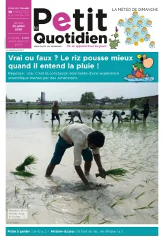 Le Petit Quotidien (French)