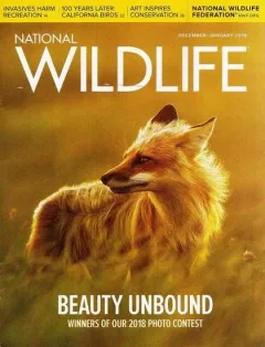 National Wildlife Magazine 1