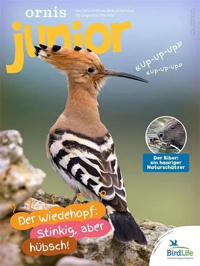 Ornis Junior (German)