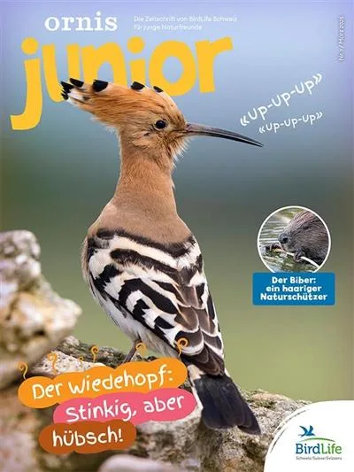 Ornis Junior (German)