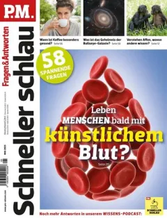 P.M. Schneller schlau (German)