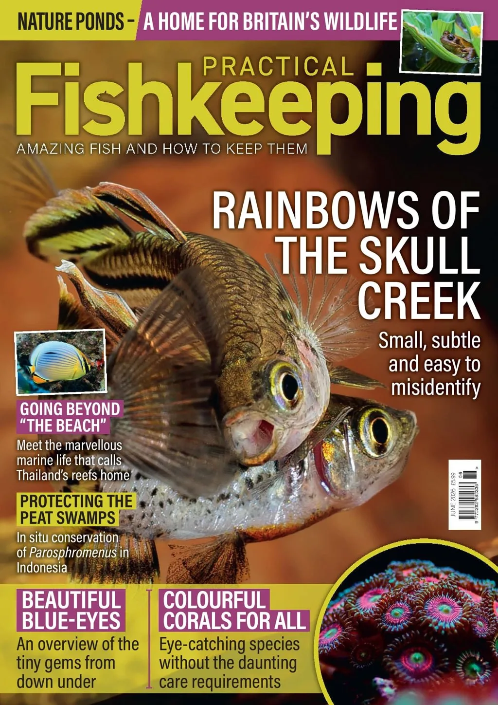 Practical Fishkeeping Magazine