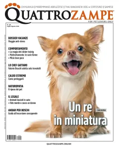 Quarter Horse Journal (German)