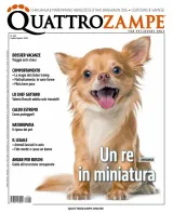 Quattro Zampe (Italian) 1