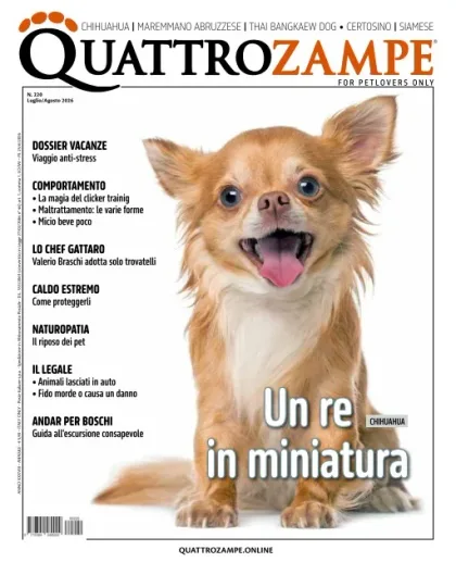 Quattro Zampe (Italian)