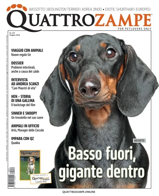 Quattro Zampe (Italian)