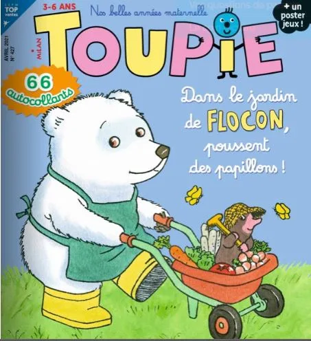 Toupie Maxi Jeux (French)