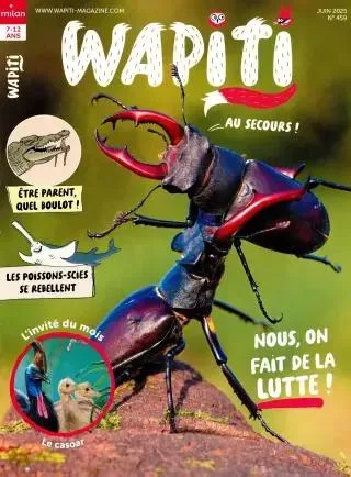 Wapiti (French)