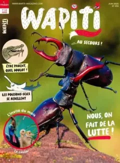 Wapiti (French)