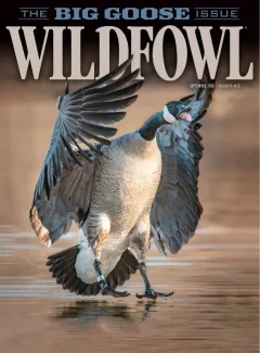 Wildfowl Magazine
